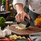 Stainless Steel Garlic Press